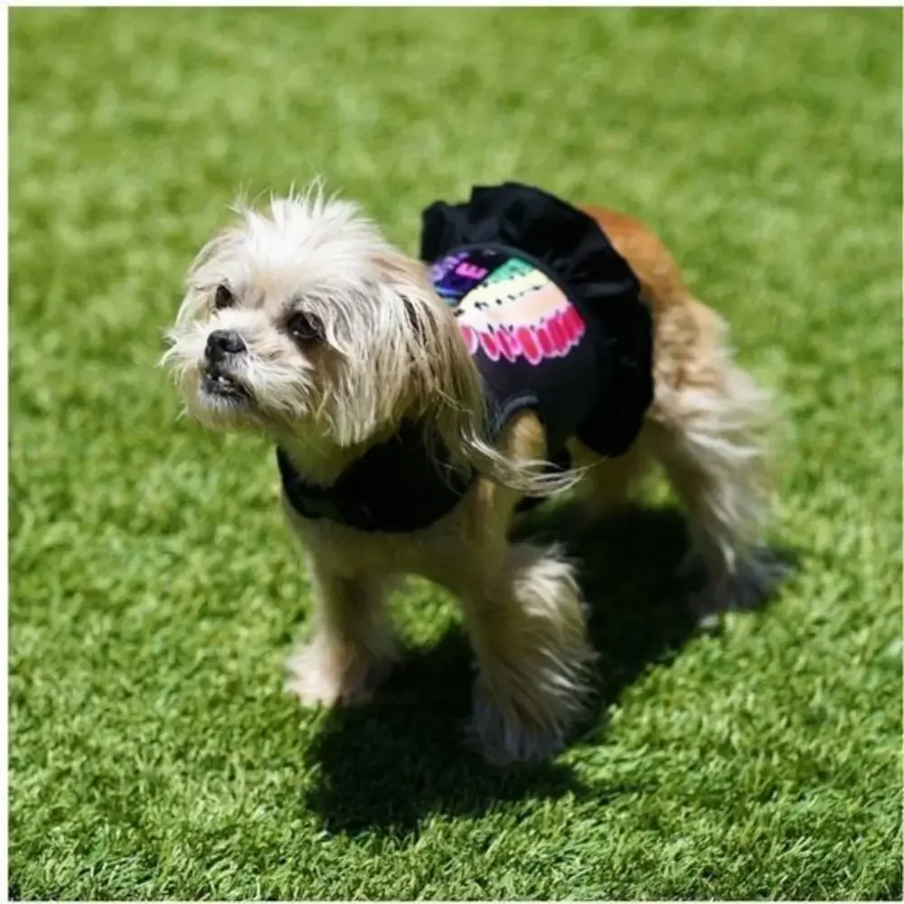 JUSTICE Rainbow Print‎ Pet Harness Small Black